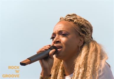 Toronto Reggae Fest  Polson Street  2014-08-16