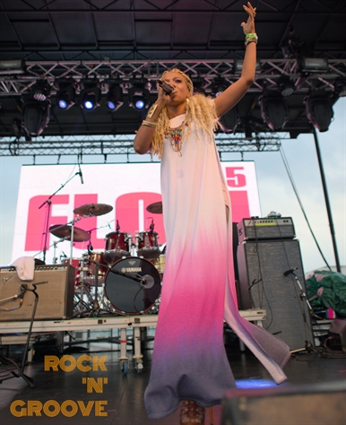 Toronto Reggae Fest  Polson Street  2014-08-16