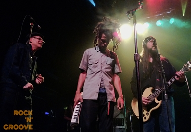 Reggae/Ska Explosion  Phoenix  Toronto  2013-05-04