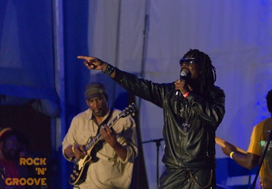 RastaFest 2014  Downsview Park  2014-08-23