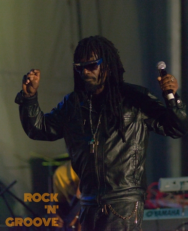 RastaFest 2014  Downsview Park  2014-08-23