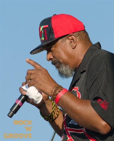 RastaFest  Downsview Park  Toronto  2015-08-22