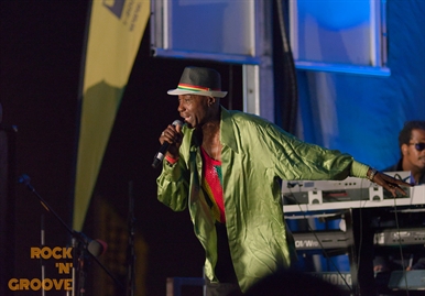 RastaFest 2014  Downsview Park  2014-08-23