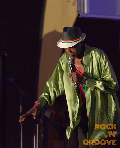 RastaFest 2014  Downsview Park  2014-08-23