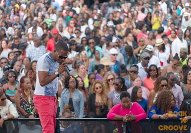 Toronto Reggae Fest  Polson Street  2014-08-17