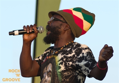 RastaFest 2014  Downsview Park  2014-08-23