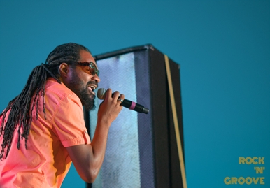 RastaFest  Downsview Park  Toronto  2015-08-22