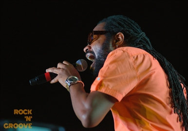 RastaFest  Downsview Park  Toronto  2015-08-22