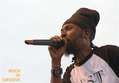 Toronto Reggae Fest  Polson Street  2014-08-16