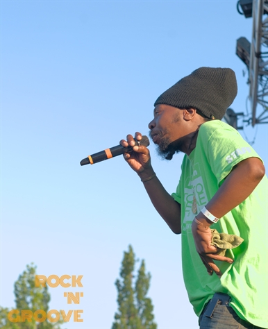 Reggae Festival  Toronto  Polson Pier Lot  2015-08-16