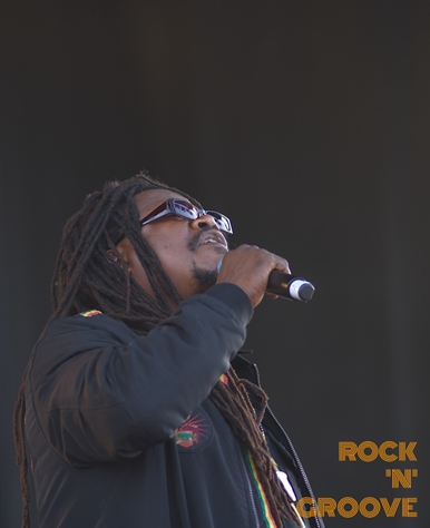 Reggae Festival  Kitchener  2019-07-27