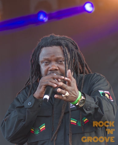 Reggae Festival  Kitchener  2019-07-27