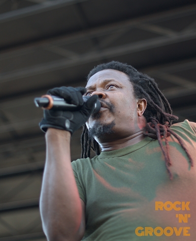 Reggae Festival  Toronto  Polson Pier Lot  2015-08-15