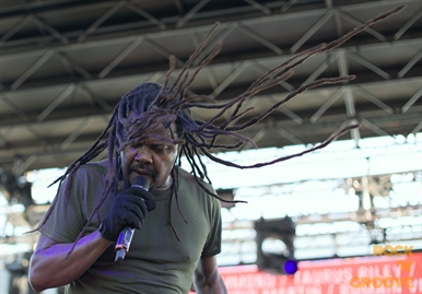 Reggae Festival  Toronto  Polson Pier Lot  2015-08-15