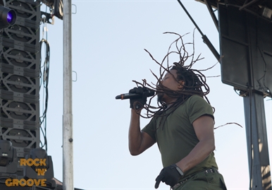 Reggae Festival  Toronto  Polson Pier Lot  2015-08-15