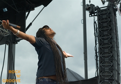 Toronto Reggae Fest  Polson Street  2014-08-16