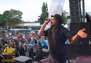 Toronto Reggae Fest  Polson Street  2014-08-16