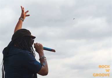 Toronto Reggae Fest  Polson Street  2014-08-16