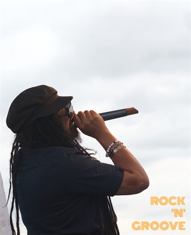 Toronto Reggae Fest  Polson Street  2014-08-16