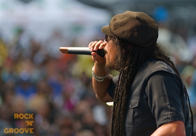 Toronto Reggae Fest  Polson Street  2014-08-16