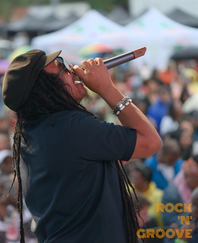 Toronto Reggae Fest  Polson Street  2014-08-16