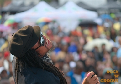 Toronto Reggae Fest  Polson Street  2014-08-16