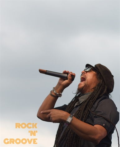 Toronto Reggae Fest  Polson Street  2014-08-16