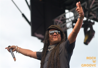 Toronto Reggae Fest  Polson Street  2014-08-16