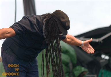 Toronto Reggae Fest  Polson Street  2014-08-16