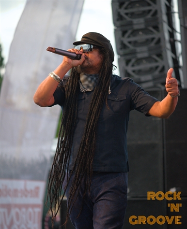 Toronto Reggae Fest  Polson Street  2014-08-16