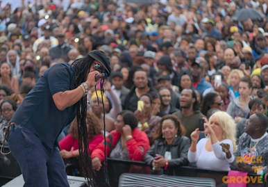 Toronto Reggae Fest  Polson Street  2014-08-16