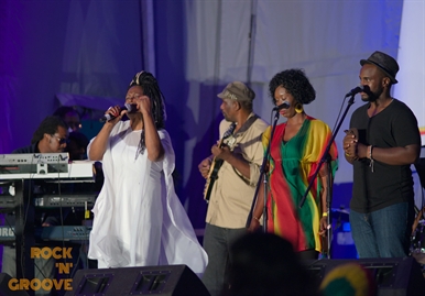 RastaFest 2014  Downsview Park  2014-08-23