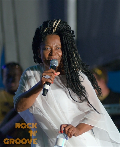 RastaFest 2014  Downsview Park  2014-08-23