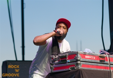 Toronto Reggae Fest  Polson Street  2014-08-17