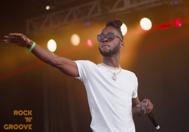 Reggae Festival  Kitchener  2019-07-27