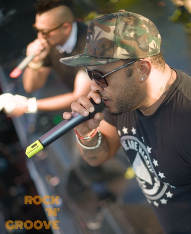 Toronto Reggae Fest  Polson Street  2014-08-17